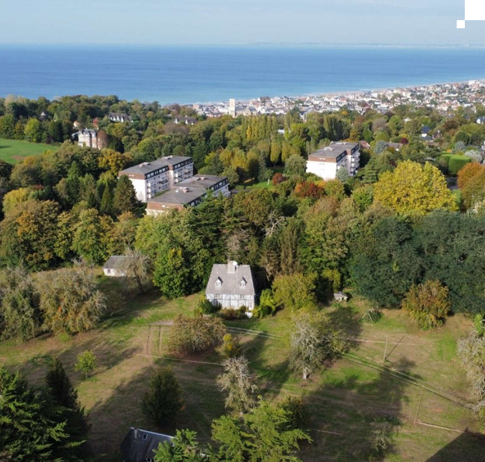 Vendre un terrain à un expert de l'immobilier